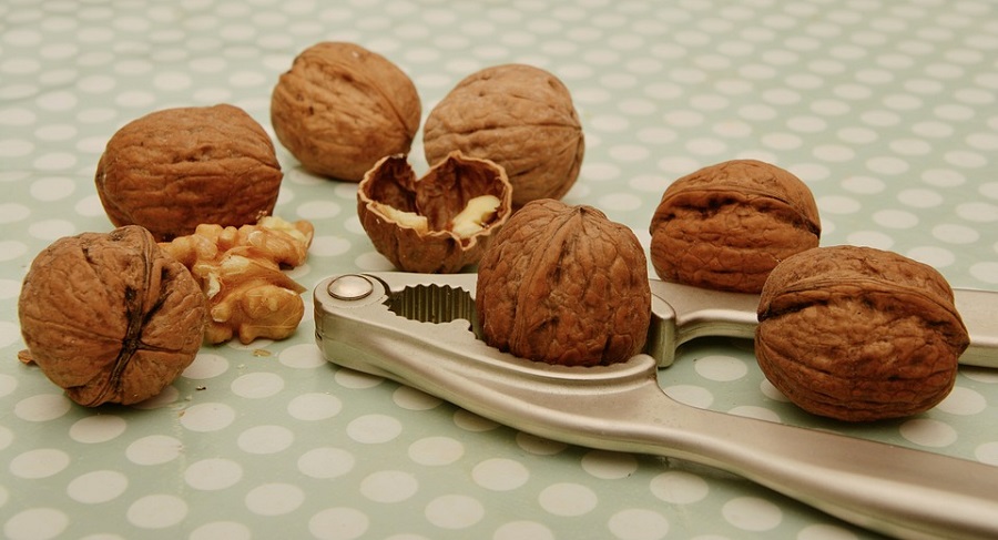 walnuts, nut allergy