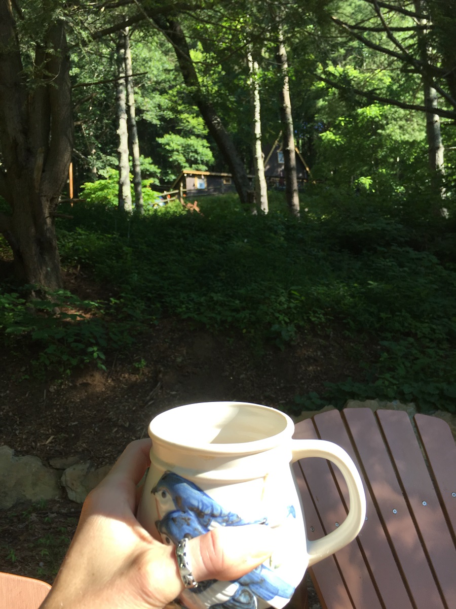 green trees with cabin and mug of coffee