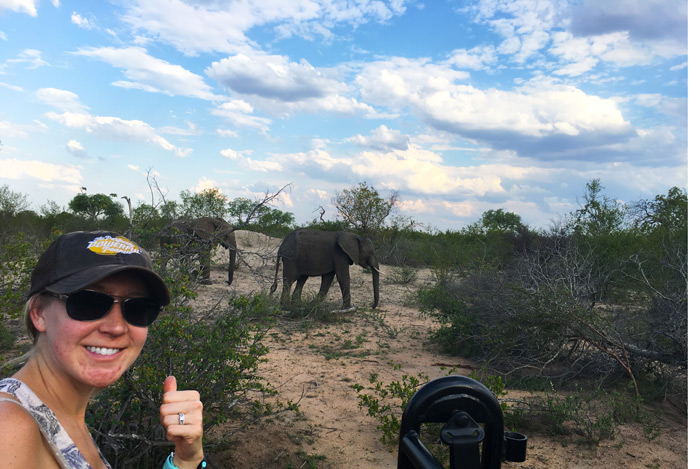 South African Safari Recap