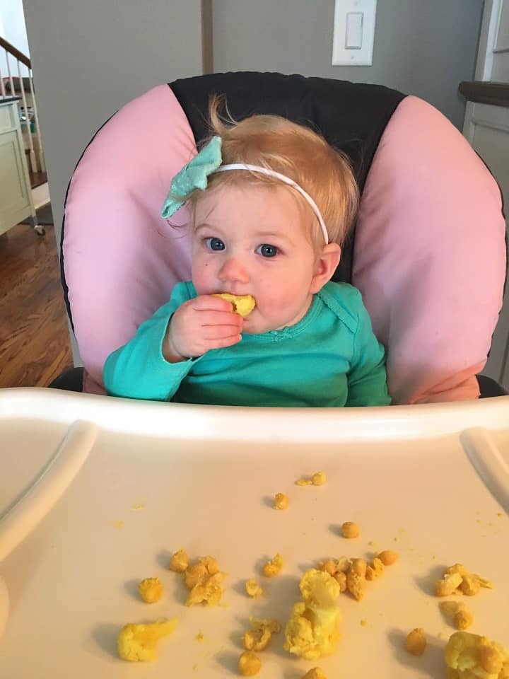 baby led weaning and introducing solids