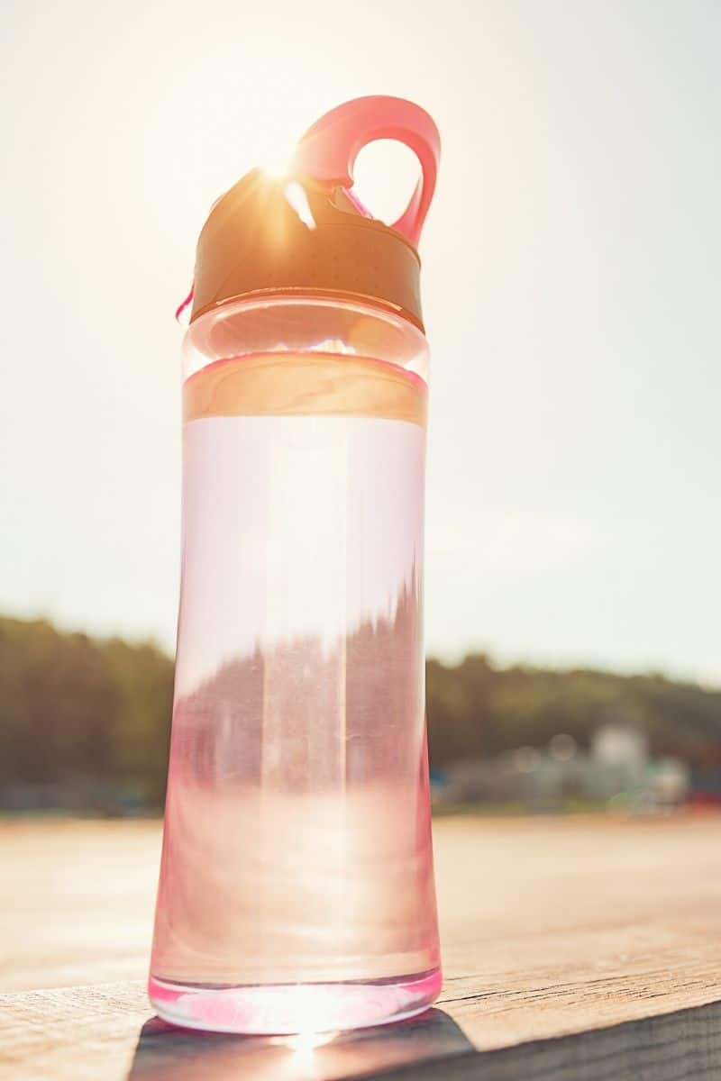 pink water bottle with trees in backround