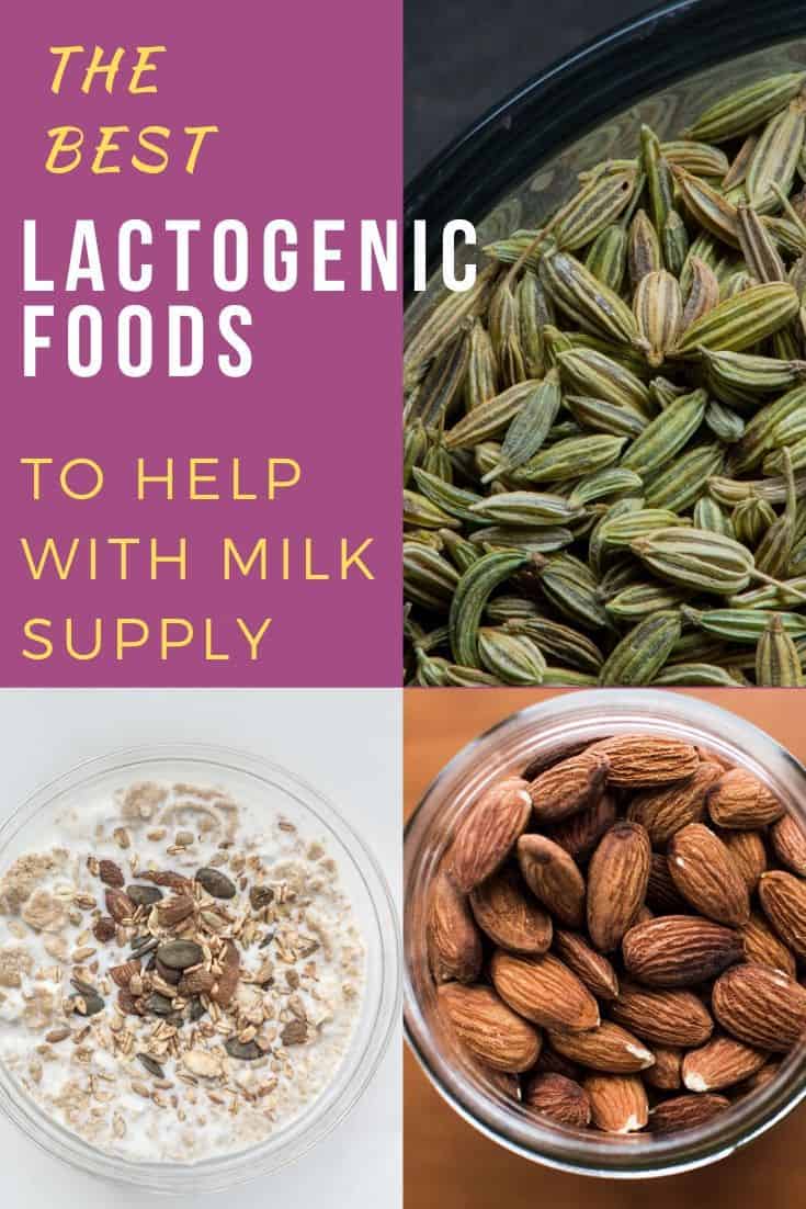 Graphic of lactogenic foods | Bucket List Tummy