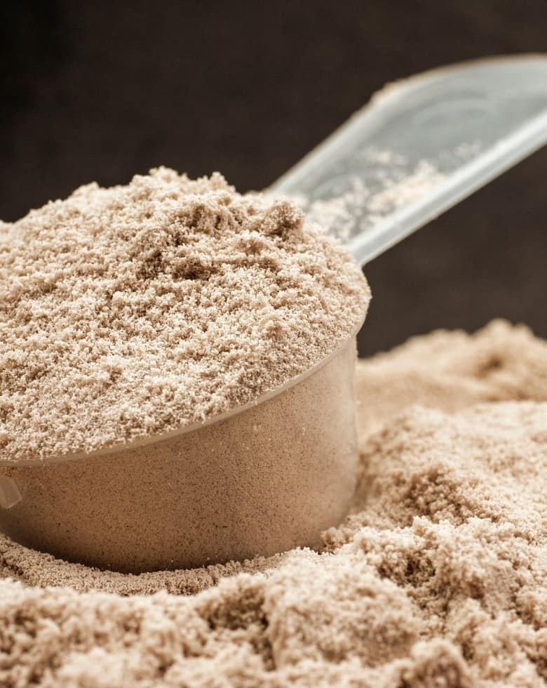 scoop of chocolate protein powder